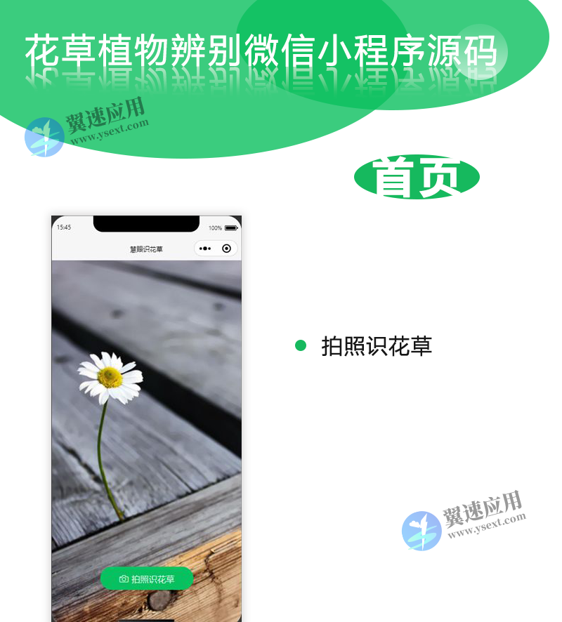 图层 47.png