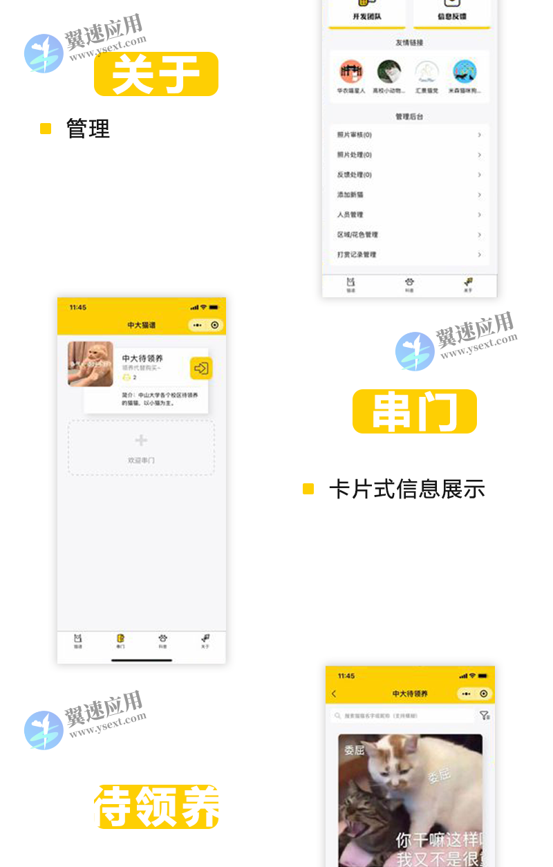 图层 44.png