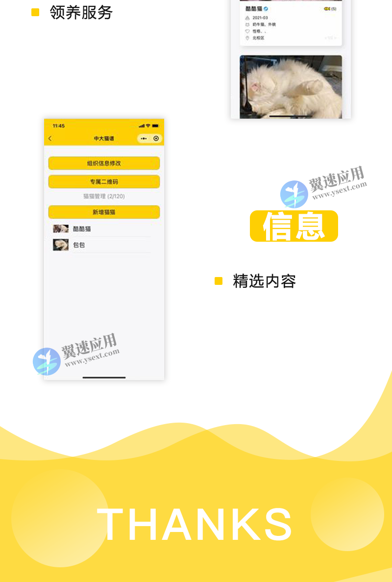图层 45.png