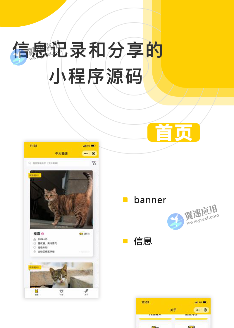 图层 43.png