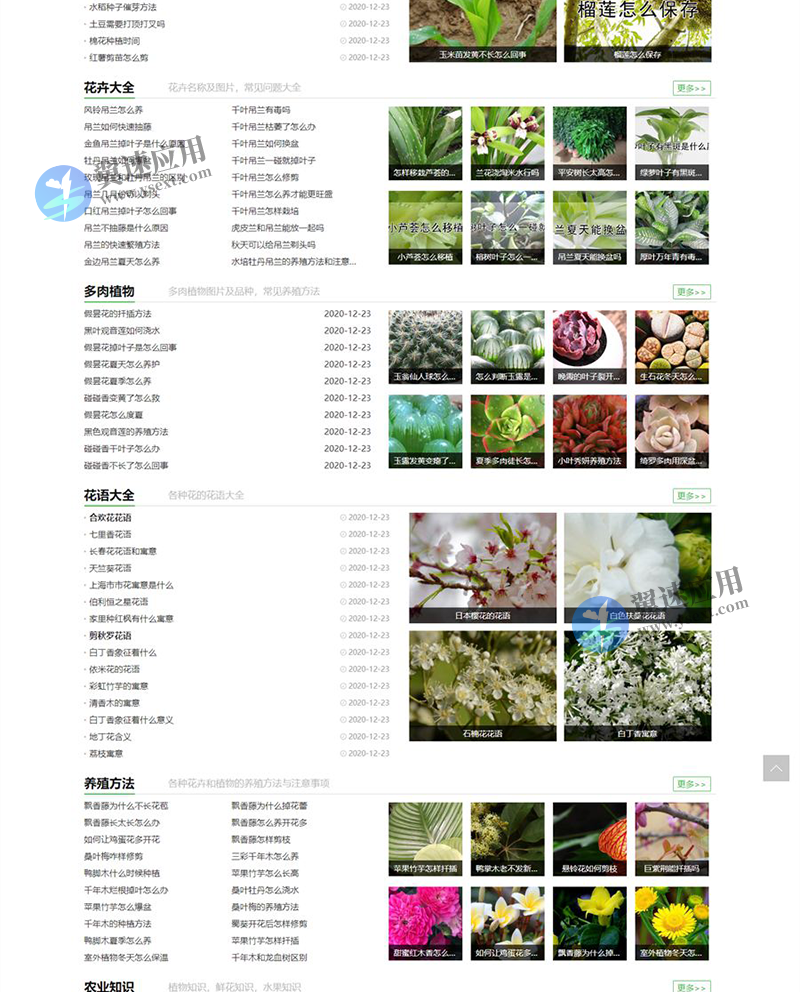 图层 4.png