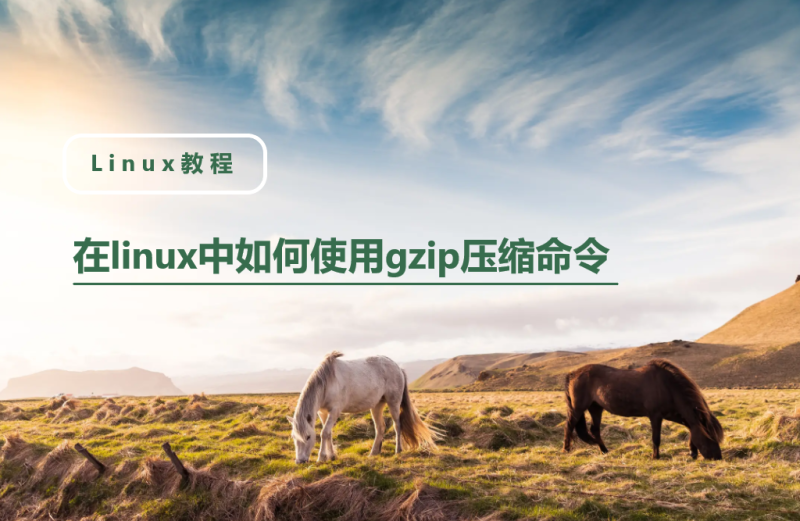 在linux中如何使用gzip压缩命令