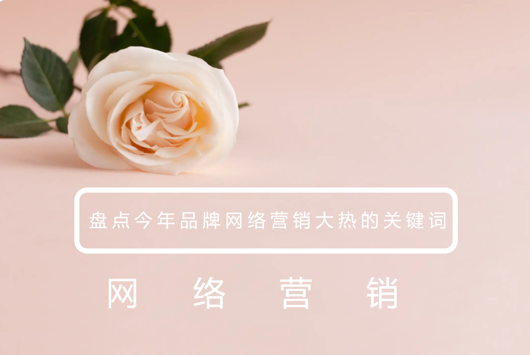 盘点今年品牌网络营销大热的关键词