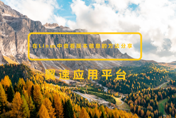 在Linux中查看版本信息的方法分享
