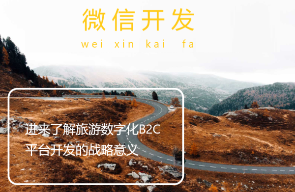 进来了解旅游数字化B2C平台开发的战略意义